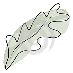 Line art of oak leaves. Minimal drawing of a green oak leaf in a sketch style, continuous line, isolated vector