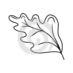 Line art of oak leaves. Minimal drawing of a green oak leaf in a sketch style, continuous line, isolated vector illustration.