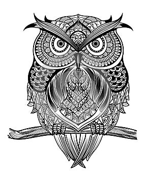 Line art owl-01 photo