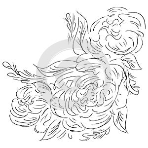 Line art peony hand drawn outline for print design. Vector isolated outline drawing. Flower pattern. Tattoo sketch. Vector peony