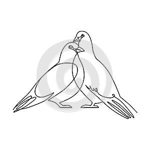 Line art pigeon, bird couple.