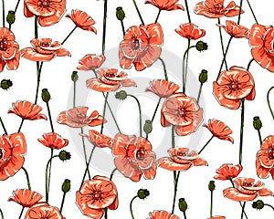 Line-art Poppies On White. Vector seamless pattern