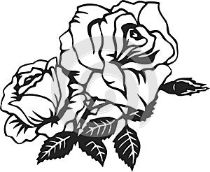 Line art rose flower illustration