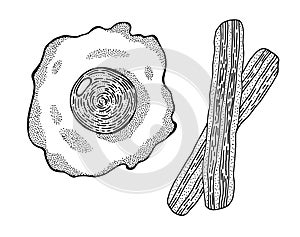 Line art sketch of fried egg with bacon. Pan and ink illustration of breakfast. Food vector artwork