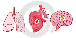 Line art style drawing, stickers design of lungs, hearts and brains icons