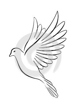 Line art-style flying dove