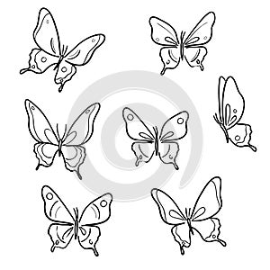 Line art vector butterfly illustrations