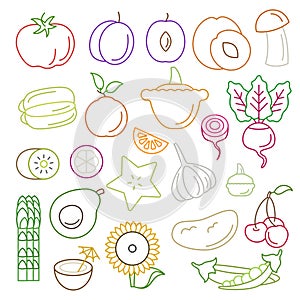 Line art vector graphical fancy food set of fruit and vegetable