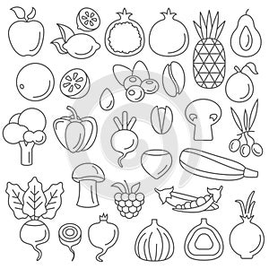 Line art vector graphical fancy set of fruit and vegetable photo
