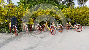 Line of bicycles parked outdoors in a neat row