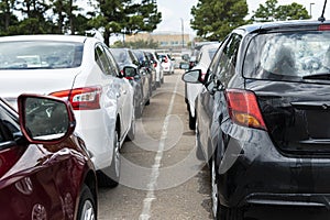 Line Of Bland Cars On Airline Rental Agency Lot