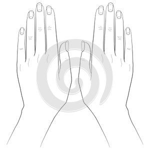 Line Bones hand. Palm and fingers with nails. Vector image on white background