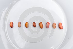 A line of Brown Cashews on White Plate