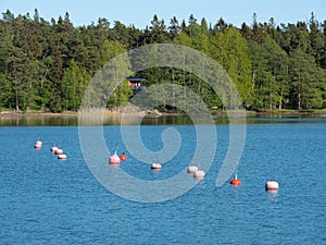 A line of buoys leading to a red cottage in the middle of the forest