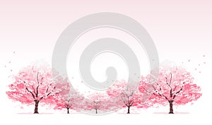 Line of cherry blossom tree background