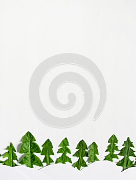 a line of Christmas trees made from dandelion leaves and white snow drifts sun flower applique children`s copy space