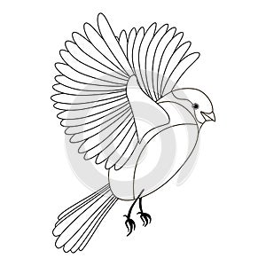 Line cute bird, coloring style isolated on white background