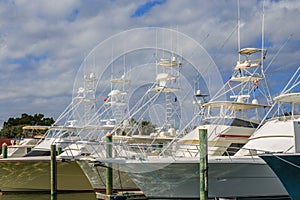 Line of Deep Sea Charter Fishing Boats