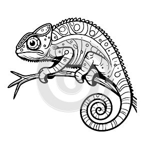Line drawing of a chameleon in black and white for coloring vector photo