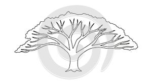 Smooth clean lines against a plain background emphasizing the tree s