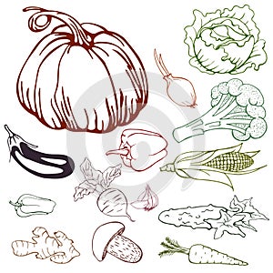 Line drawing of various vegetables for design and scrapbooking.