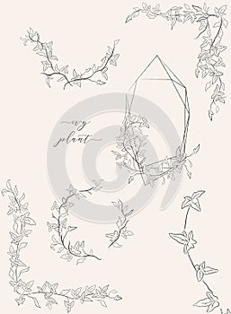Line drawing vector leaf branch wreaths frames
