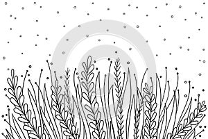 Line drawn wild grass, fern, circle pattern. Vector vintage botanical. Hand drawn ink silhouette with plant, branches