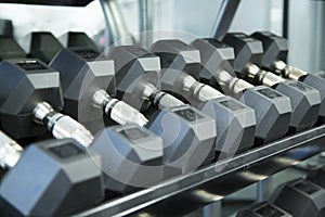 A line of dumbbells on the rack at the gym