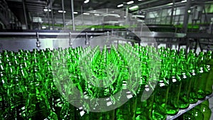 line for filling beer in a brewery. Empty green glass bottles moving on a conveyor belt in a queue at a beer factory.