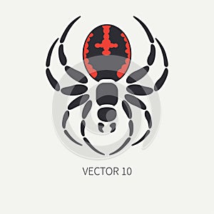 Line flat color vector wildlife fauna icon black widow spider. Simplified retro. Cartoon style. Insect. Web. Entomology