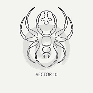 Line flat plain vector wildlife fauna icon black widow spider. Simplified retro. Cartoon style. Insect. Web. Entomology