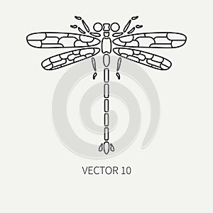 Line flat plain vector wildlife fauna icon bug, dragonfly. Simplified retro. Cartoon style. Insect. Beetle. Entomology
