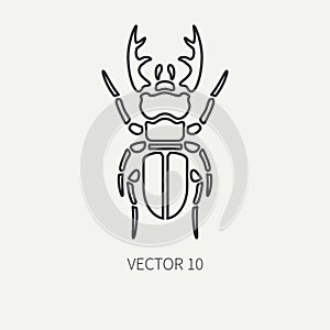 Line flat plain vector wildlife fauna icon stag beetle. Simplified retro. Cartoon style. Insect. Deer bug. Entomology