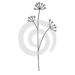 Line flower vector, minimalist line design, wildplant vector photo