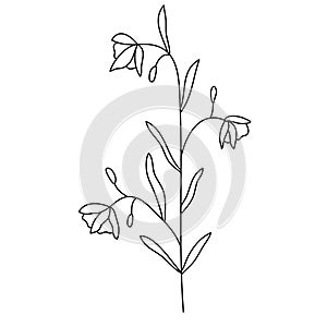 line flower vector, minimalist line design, wildplant vector photo