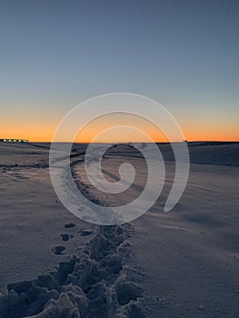 Line of footsteps in the snow