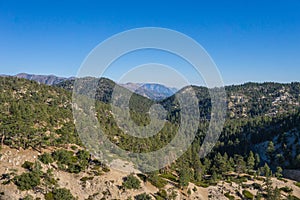 Line of Forested California Mountaintops