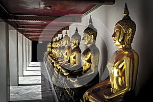 Line of Golden Buddha statues