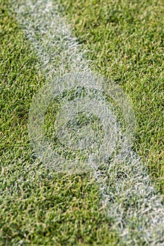 The line on the grass on the football pitch