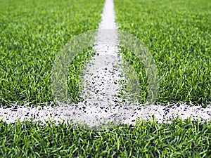 Line on green grass of futsal field or football field