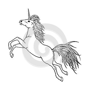 Line horse or unicorn. Isolated black outline jumping running on white background. Curve lines. Page of coloring book.