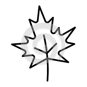 line icon maple leaf outline vector