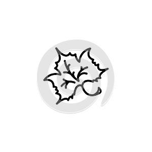 Line icon. Maple leaf, tree leaf
