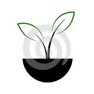 Line icon of a young sprout with two leaves. Vector illustration isolated on white background