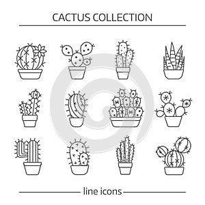 Line icons of cactus