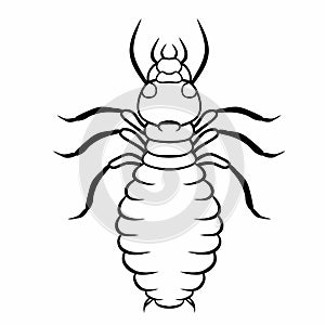 Line illustration of isoptera isolated