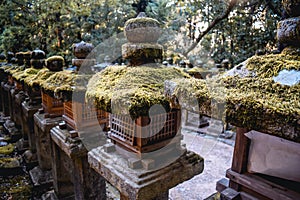 Line of Japanese traditional wooden lanterns covered by moss in Nara Japan