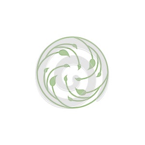 Line leaf spiral luxury logo design, vector graphic symbol icon illustration creative idea