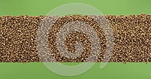 Line made from buckwheat seeds top view. Slider shot. Isolated