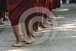 A line of monk in Burma seen by back